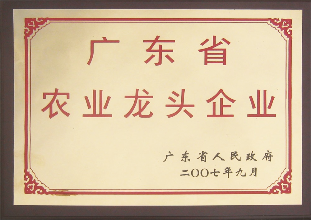廣東農(nóng)業(yè)龍頭企業(yè)